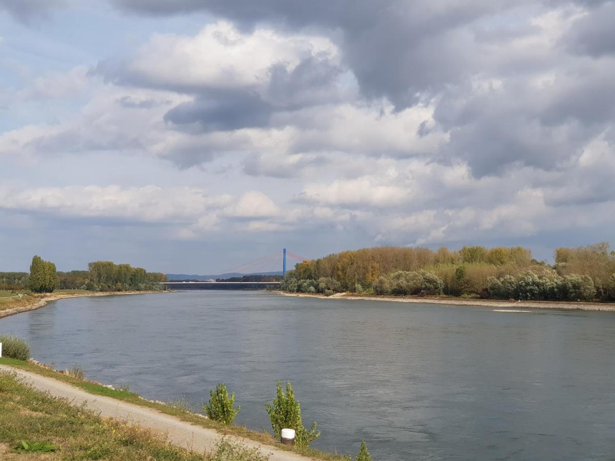 斯派尔Wohnen Direkt Am Rhein, Zentrums- Und Domnah, 55Qm公寓 外观 照片